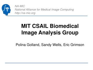 MIT CSAIL Biomedical Image Analysis Group
