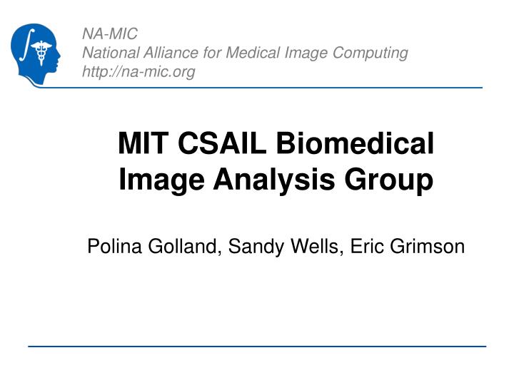mit csail biomedical image analysis group