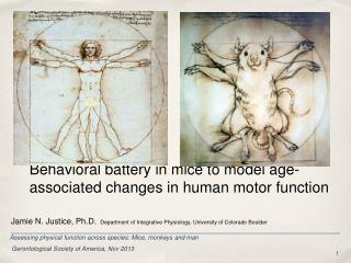 Behavioral battery in mice to model age-associated changes in human motor function