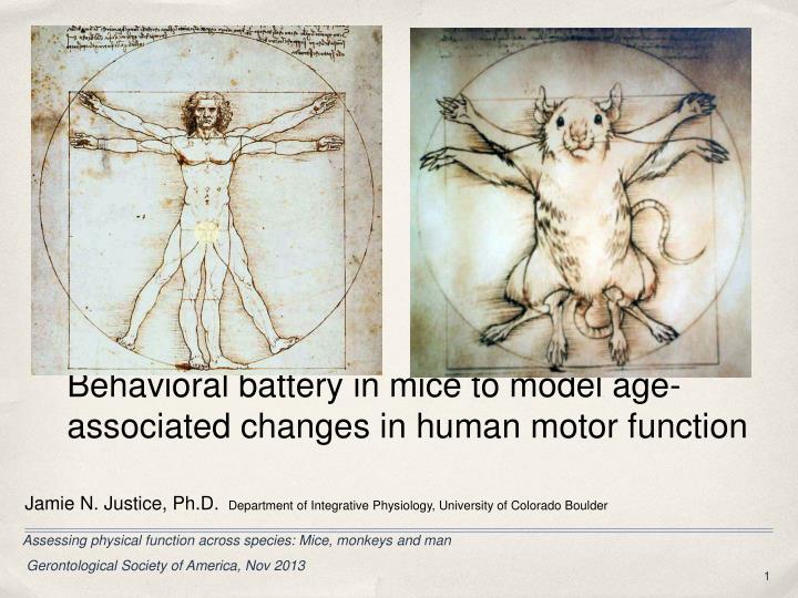 behavioral battery in mice to model age associated changes in human motor function