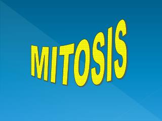 MITOSIS