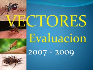 vectores evaluacion