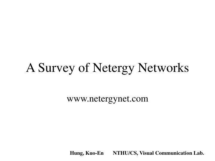 a survey of netergy networks