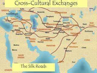 Cross-Cultural Exchanges
