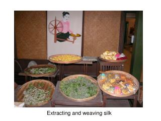 Extracting and weaving silk