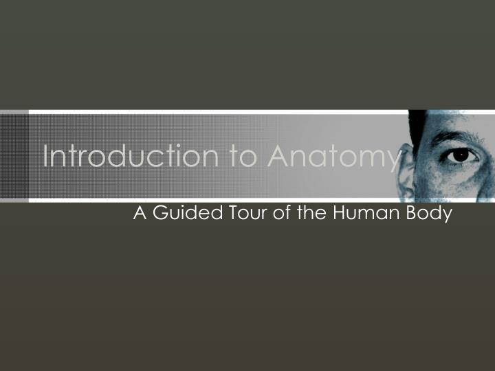 introduction to anatomy