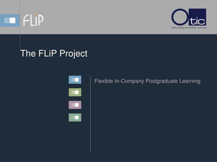 the flip project