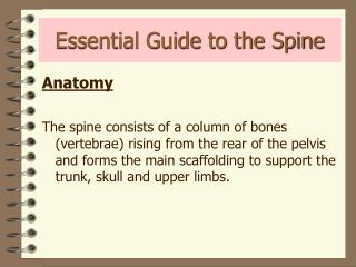 Essential Guide to the Spine