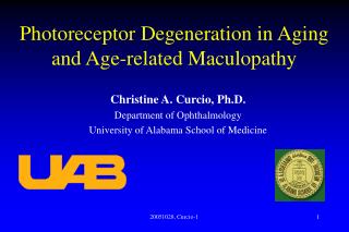Photoreceptor Degeneration in Aging and Age-related Maculopathy