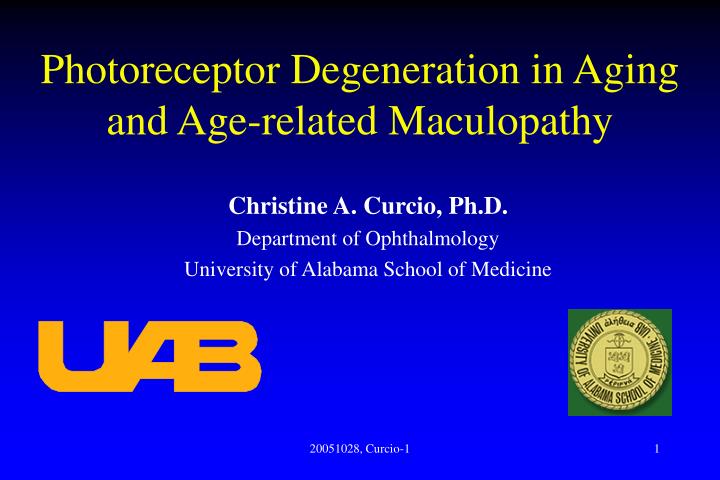 photoreceptor degeneration in aging and age related maculopathy