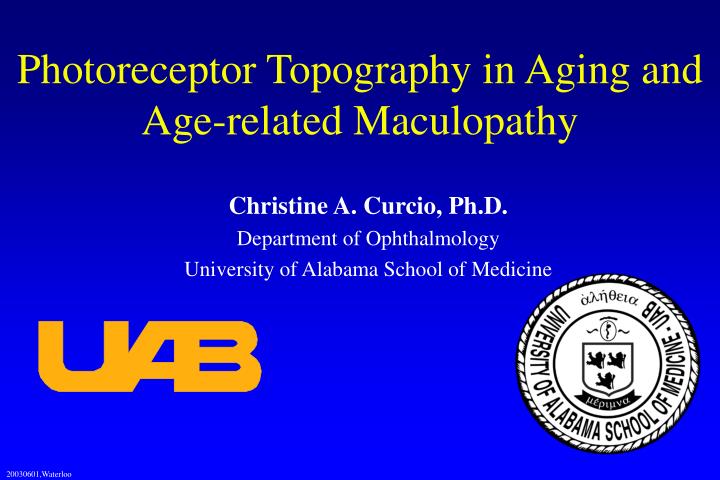 photoreceptor topography in aging and age related maculopathy