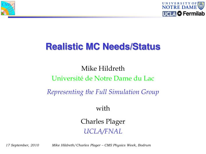 realistic mc needs status