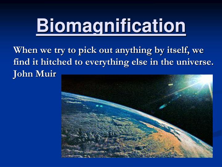 biomagnification