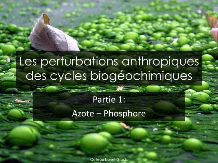 les perturbations anthropiques des cycles biog ochimiques