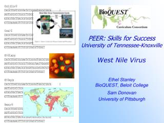 Approximate global distribution of West Nile virus