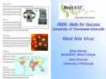 Approximate global distribution of West Nile virus - slide 1