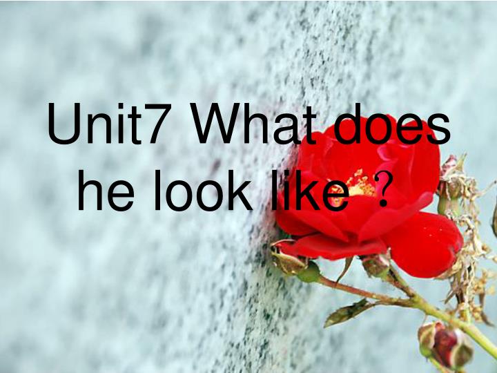 unit7 what does he look like