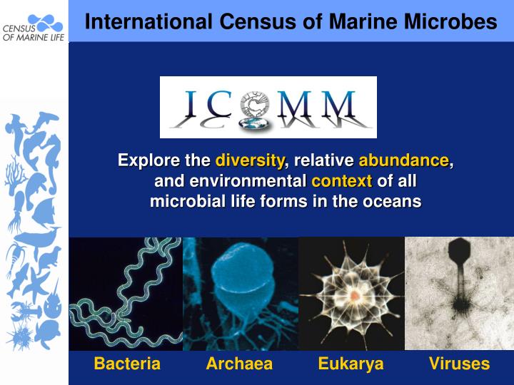 international census of marine microbes