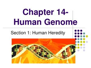 Chapter 14- Human Genome