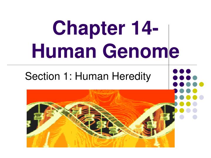 chapter 14 human genome