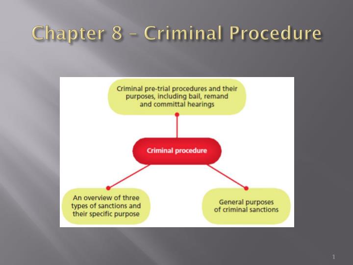 chapter 8 criminal procedure