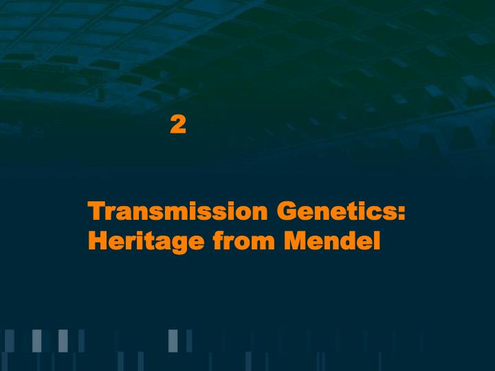 transmission genetics heritage from mendel