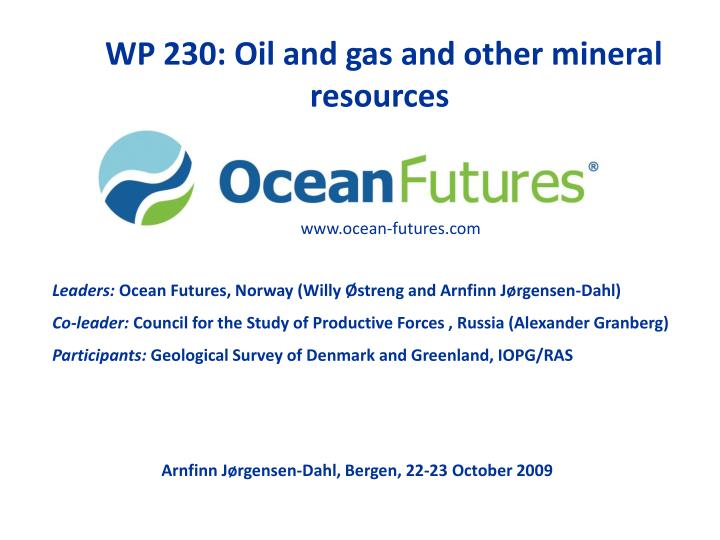 wp 230 oil and gas and other mineral resources
