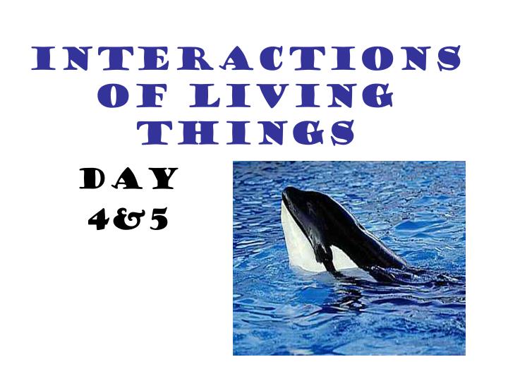 interactions of living things