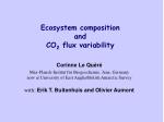 Ecosystem composition and CO 2 flux variability - slide 1