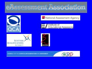 Proposal for Establishing a Professional Body for e-Assessment Practitioners