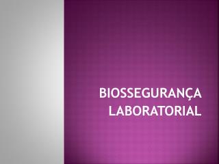 biosseguran a laboratorial