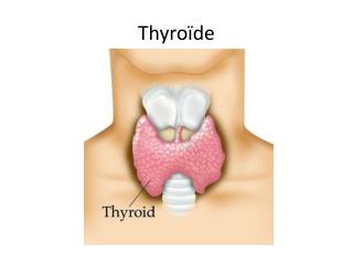 thyro de