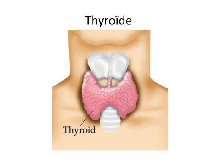 thyro de