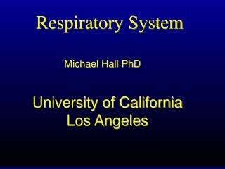 Respiratory System