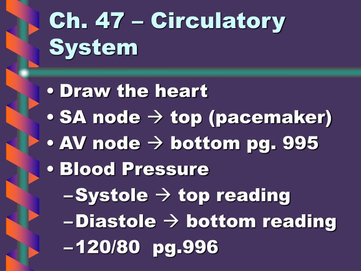 ch 47 circulatory system