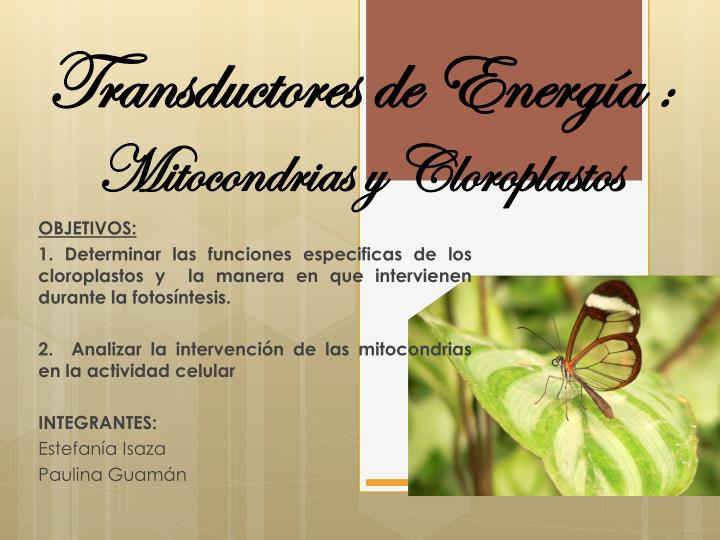 transductores de energ a mitocondrias y cloroplastos