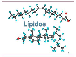 l pidos