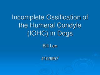 Incomplete Ossification of the Humeral Condyle (IOHC) in Dogs
