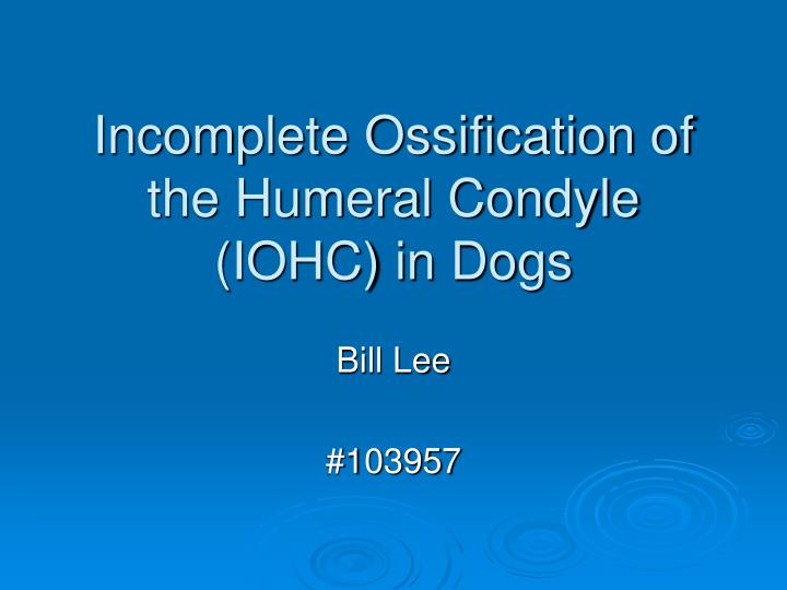 incomplete ossification of the humeral condyle iohc in dogs