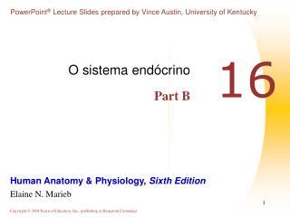 PPT - SISTEMA ENDOCRINO Y LA HOMEOSTASIS Resumen Realizado A Partir Del ...