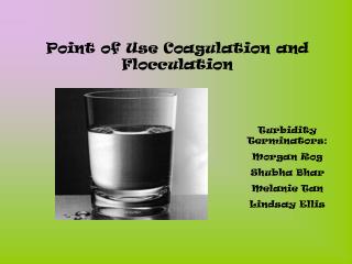 Point of Use Coagulation and Flocculation