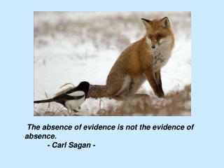 The absence of evidence is not the evidence of absence. 	- Carl Sagan -