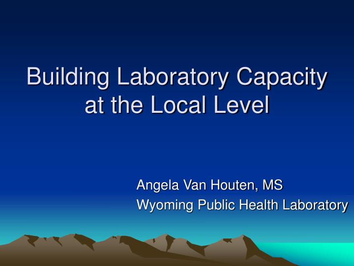 building laboratory capacity at the local level