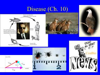 Disease (Ch. 10)