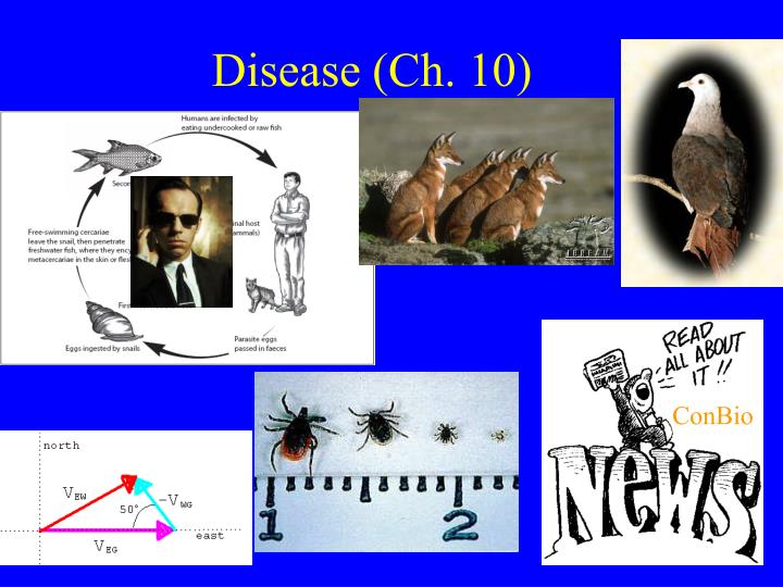 disease ch 10