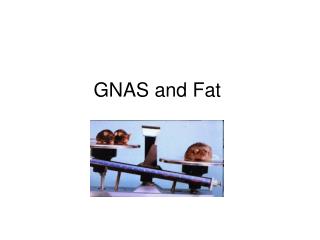 GNAS and Fat