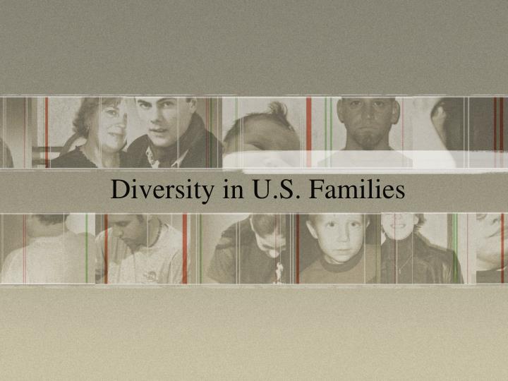diversity in u s families