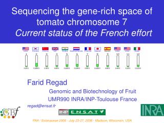 Sequencing the gene-rich space of tomato chromosome 7 Current status of the French effort
