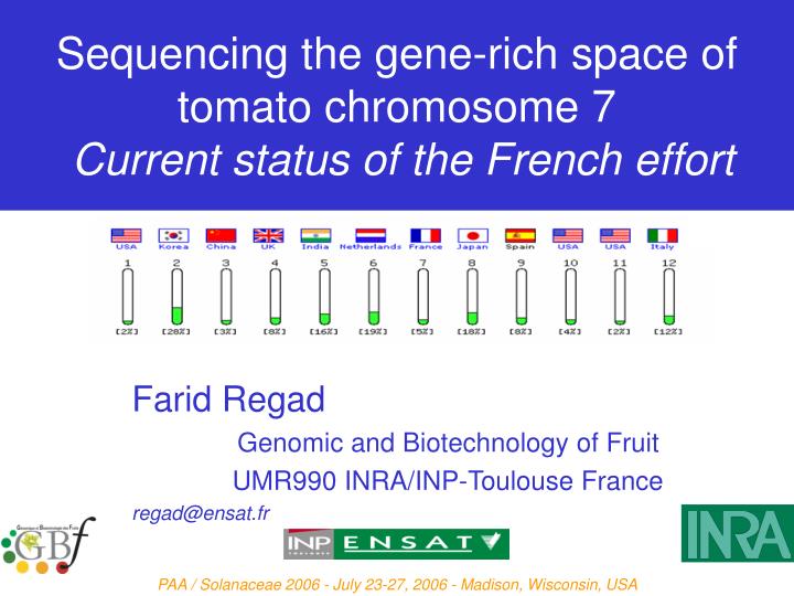 sequencing the gene rich space of tomato chromosome 7 current status of the french effort