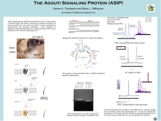 HPLC reduced ASIP after Nickel Column